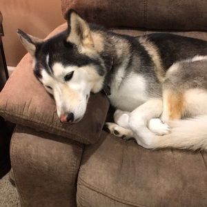 Meet your Posher, Patricia